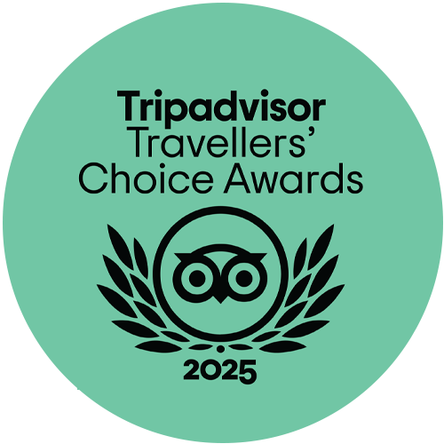 2025 Trip Advisor Excellence
